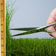 How to water your lawn in the spring and summer. Summer Lawn Tips For Utah Lawns Glover Nursery