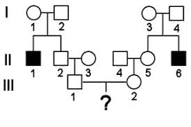 Determine the genotype of the bull and the cow. Risk Calculation In Pedigrees