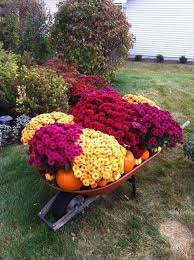 Contact us for more info about our landscape and garden design services, garden sculptures & metal yard art for sale. 16 Cozy Rustic Outdoor Decor Ideas For Thanksgiving Gardenoholic