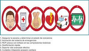 Todos ellos se caracterizan por la aparición brusca de un cuadro de sufrimiento isquémico (falta de riego) a una parte del músculo del corazón producido por la obstrucción aguda y total de una. Que Puede Salvarte La Vida Si Tienes Un Infarto As Com