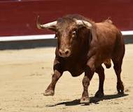 Adiós a la corrida de toros