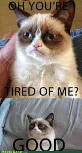 Maybe You Ll Leave Me Alone Grumpy Cat Humor Grumpy Cat Quotes Grumpy Cat