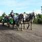 Garlock Tree Farm, Sebastopol — Marin Mommies event image