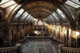 What Is Art History Iesa International