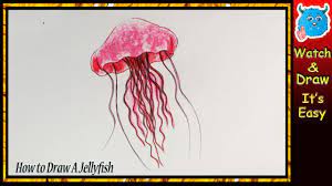 How to draw a jellyfish: How To Draw A Jellyfish Easy Drawing For Beginners Youtube