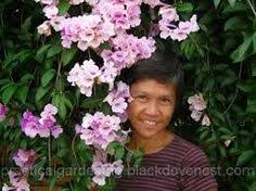 Philippine flowers on pinterest | philippines, wax flowers and orchids. 100 Vines In The Philippines Ideas In 2021 Vines Plants Planting Flowers