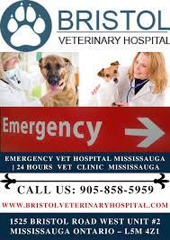 Buena pet clinic is proudly locally owned and operated business located in tucson arizona and we are dedicated to providing you and your pets with affordable, high quality. 24 Hour Pet Clinic Regina Crazypurplemama