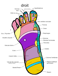 Los Pies En El Sindrome Triple A Allgrove