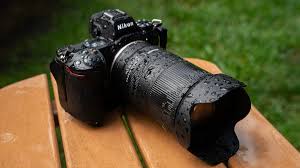 sagedovinaxo porno came across Scarletts listing and