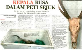 Jabatan perlindungan flora dan fauna. Jabatan Perhilitan