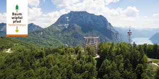 Gmunden ist eine reiche stadt, hat millionenschulden angehäuft und war nicht einmal in der lage, ein ordentliches hallenbad für die. Bergfex Sehenswurdigkeiten Baumwipfelpfad Salzkammergut Auf Dem Grunberg In Gmunden Gmunden Ausflugsziel Sightseeing