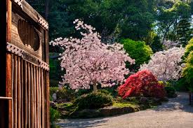 Maybe you would like to learn more about one of these? Elevation Of Hutchinson Rd Los Gatos Ca Usa Topographic Map Altitude Map