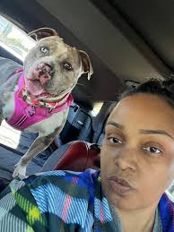 Pitbull owners sharing experiences and information about the breed