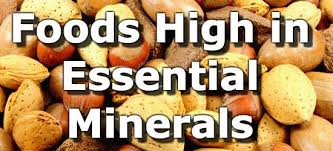 top 15 foods highest in minerals