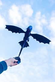 We did not find results for: How To Train Your Dragon Toys
