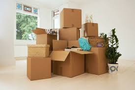 How To Move Long Distances with Plants | Moving home, House removals,  Moving and storage