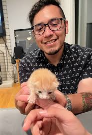 About - Alfred Collazo