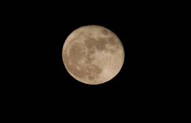 The full pink moon's name comes from the abundance of moss phlox, a common little pink flower that typically begins to spread. Zfqc Uahz8buxm