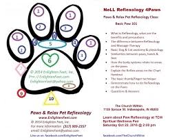 nell reflexology for paws