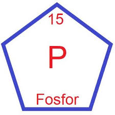 Periyodik tablonun 15.elementi fosfor bundan 350 yıl önce keşfedildi. Fosfor Elementinin Ozellikleri Ve Periyodik Tablodaki Yeri Ne Nedir Vikipedi