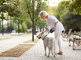 6 Best Dog Leashes For Arthritic Hands Easy To Grip Handle Dog Leash Hands Free Dog Leash Best Dogs