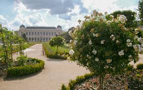 Top 5 Parks And Gardens In Paris Paris Perfect