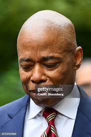 237 Gracie Law Stock Photos, High-Res Pictures, and Images