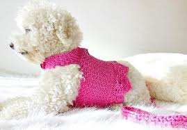Crochet Dog Harness Dog Dress Small Dog Clothes Harness And