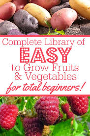 13 Easy To Grow Veggies Fruits For Absolute Beginning Gardeners A Country Girl S Life Easy Vegetables To Grow Vegetable Garden For Beginners Growing Fruit