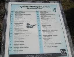 Natw introduced the national night out campaign. Portland Family Fun Guide Cook Park Tigard Frugal Living Nw