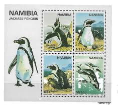 Image result for Adenolobus pechuelii