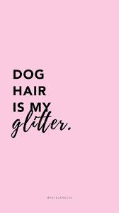 Free Resources Dog Quotes Funny Dog Mom Quotes Cute Dog Quotes