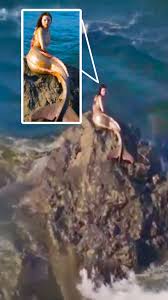 Image result for real mermaid