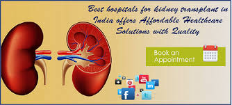 Low Cost Kidney Transplant In India Kidney Transplant Best Hospitals Healthcare Solutions