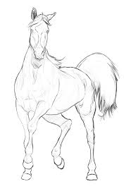 Lineart Color Please By Elsouille On Deviantart Animal Drawings Horse Drawings Horse Sketch