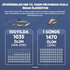 Sivrisineklerin Bir Gunde Oldurdugu Insan Sayisi Kopek Baliklarinin 100 Yilda Oldurdugunden Fazla