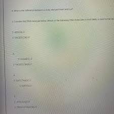 By using things like mucus and iga, therefore. Solved Answer The Following Questions 1 What Is A Palin Chegg Com