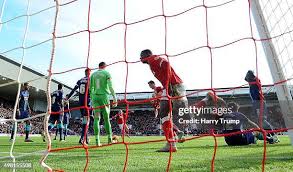 1,011 Agard Stock Photos, High-Res Pictures, and Images