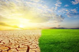 War, nationalism, and conflict irresolution. Study Shows The Sahara Swung Between Lush And Desert Conditions Every 20 000 Years In Sync With