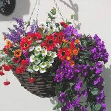 Choose from contactless same day delivery, drive up and more. Pin On Hanging Plants