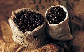The Coffee Bean Cafe To Robusta The Arabica Coffee Bean Covers 60 Of The Coffee Arabica Beans Coffee Can Crafts Blended Coffee