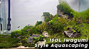 Tanaman aquascape, kalian bebas memilih tanamanya sesuai dengan tema yang akan dibuat. Aquascaping Game Of River Stone Simplicity By Vladimir Stojanovic