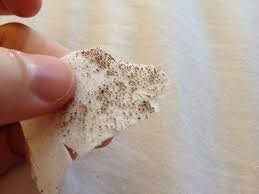 After you remove the strip i'd just rinse your face off with water only so you don't irritate your skin too much, follow up with a salicylic acid serum & then . Biore Pore Strips Another Big Bite