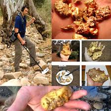 Gpx 4500 the gold and precious metals detector: The Best Gold Metal Detectors Underground