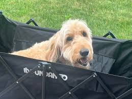 Message Kaylee Kinnison McMillian to book your lessons!