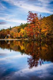 Fall Leaf Peeping In Vermont Jamie Bannon Photography Hartford Connecticut Fall Photography Nature Fall Landscape Photography Vermont Photography