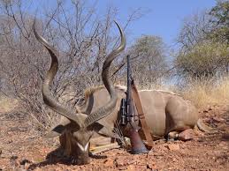 Cyril ramaphosa replaces zuma as south african president. Peta Is Coming After Cyril Ramaphosa Video 2oceansvibe News South African And International News