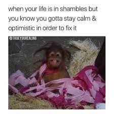 When Your Life Is In Shambles The Best Mercury Retrograde Memes To Share When Your Life Falls Into Fiery Ruins Livingly