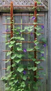 Pin Auf Diy Einfache Gartenideen Blog