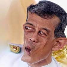 King vajiralongkorn and koi sininart in german media à¹€à¸ª à¸¢à¹‚à¸­à¹€à¸¢à¸­à¸£à¸¡ à¸™ Ppr16039333 Twitter